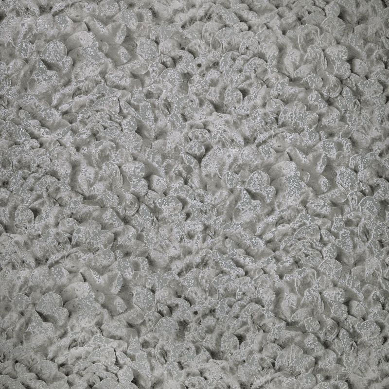 65309 Arco Salt Black Cumin Wallpaper By Hohenberger Galerie