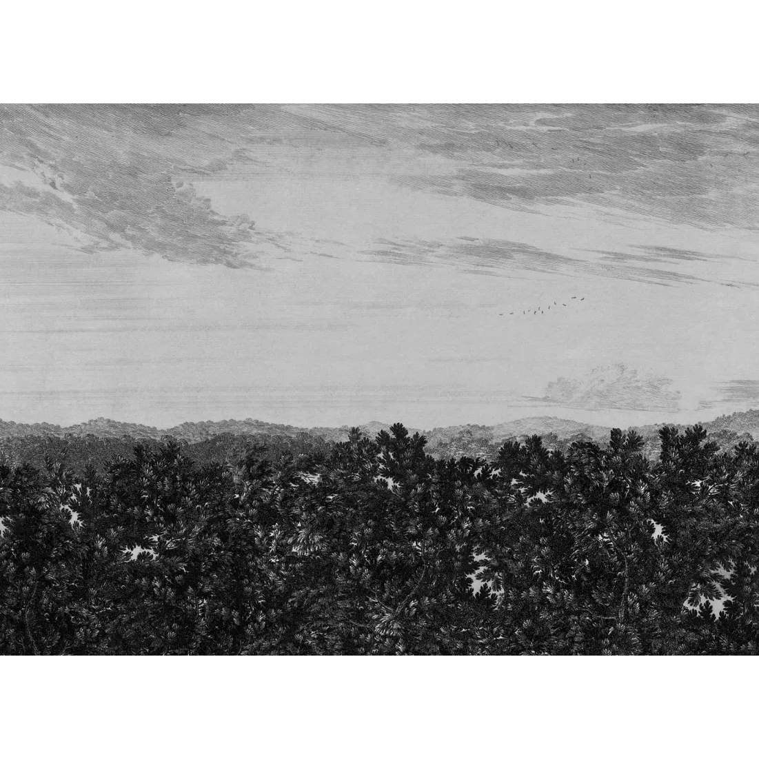658-31 Graphite Oak View Sandberg Edition Mural by Sandberg