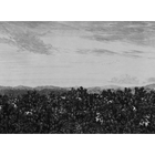 658-31 Graphite Oak View Sandberg Edition Mural by Sandberg