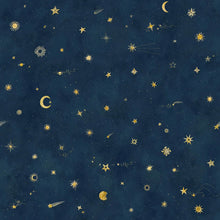 659-96 Petrol Starry Sky Sandberg Edition Mural by Sandberg