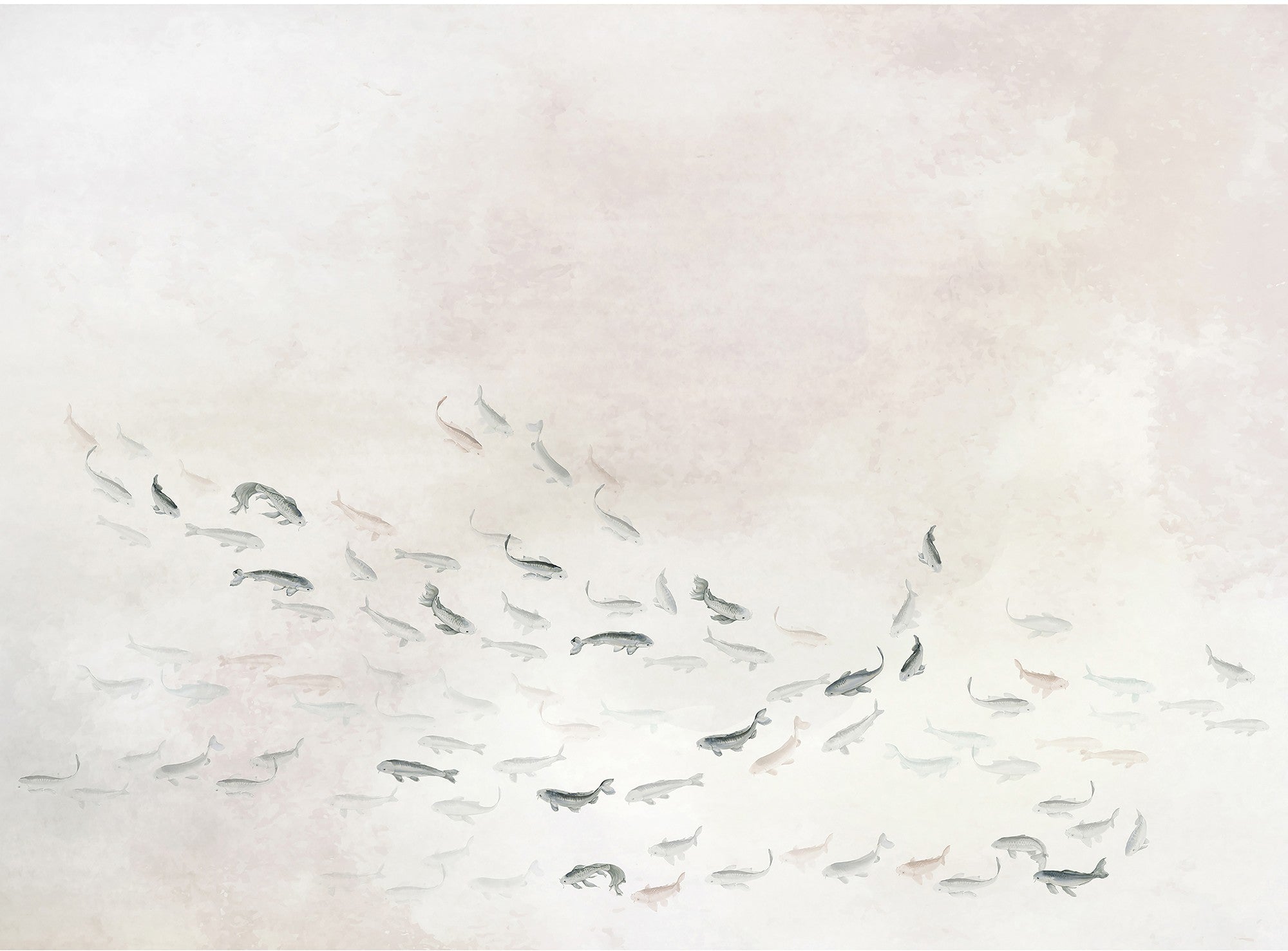 6600081 Koi Light (400 × 280 cm) Core Mural by Coordonné