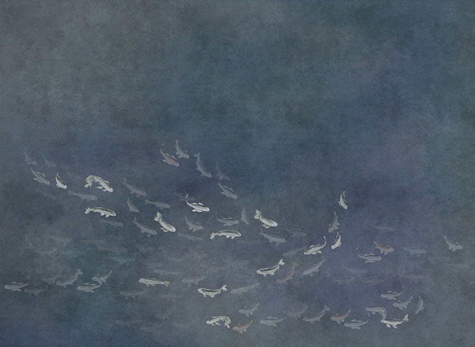Koi Night (400 × 280 cm) Core Mural by Coordonné