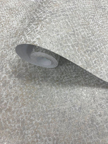 66280 Boa Grey Wallpaper by Holden Decor