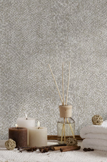 66280 Boa Grey Wallpaper by Holden Decor