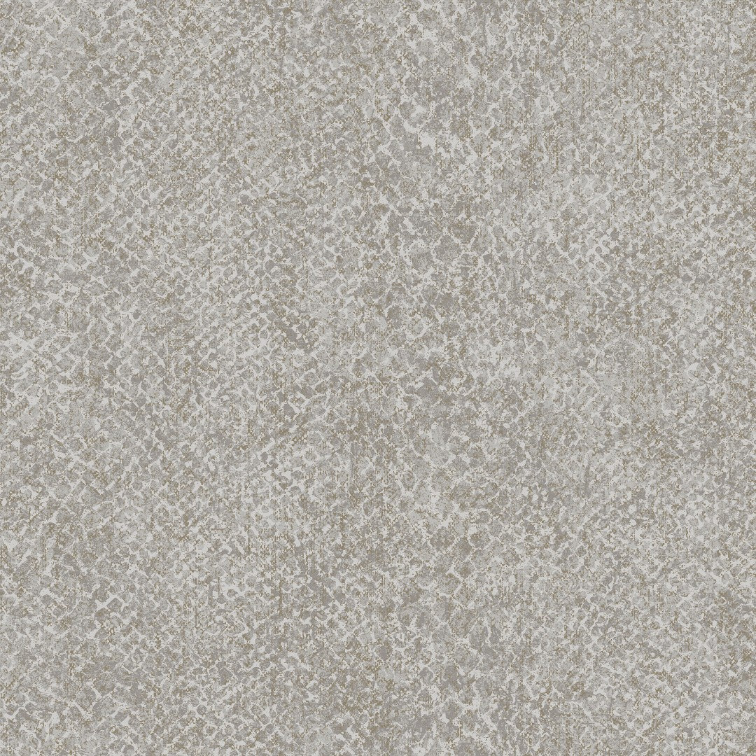 66280 Boa Grey Wallpaper by Holden Decor