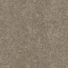 66281 Boa Taupe Wallpaper by Holden Decor