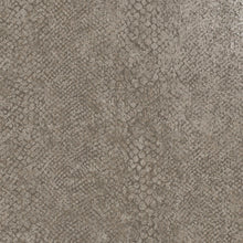 66281 Boa Taupe Wallpaper by Holden Decor