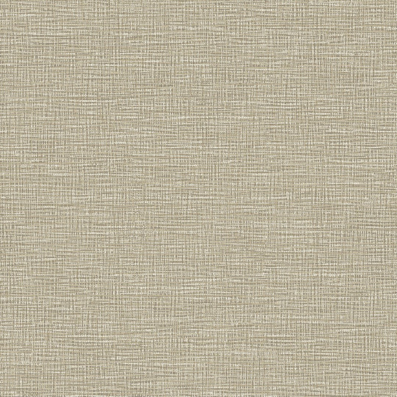 66290 Brocade Cream Wallpaper by Holden Decor