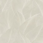 66320 Anthurium Cream Wallpaper by Holden Decor