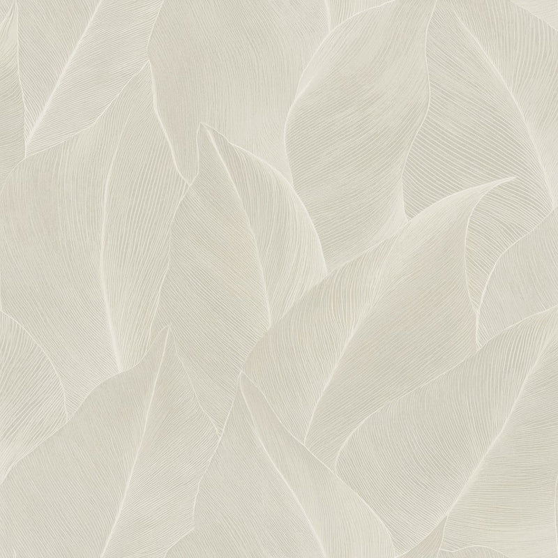 66320 Anthurium Cream Wallpaper by Holden Decor