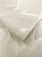 66320 Anthurium Cream Wallpaper by Holden Decor