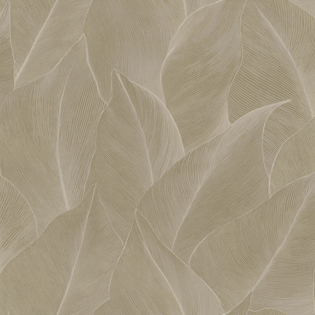 66321 Anthurium Beige Wallpaper by Holden Decor