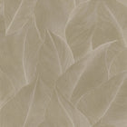 66321 Anthurium Beige Wallpaper by Holden Decor