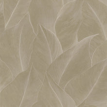 66321 Anthurium Beige Wallpaper by Holden Decor