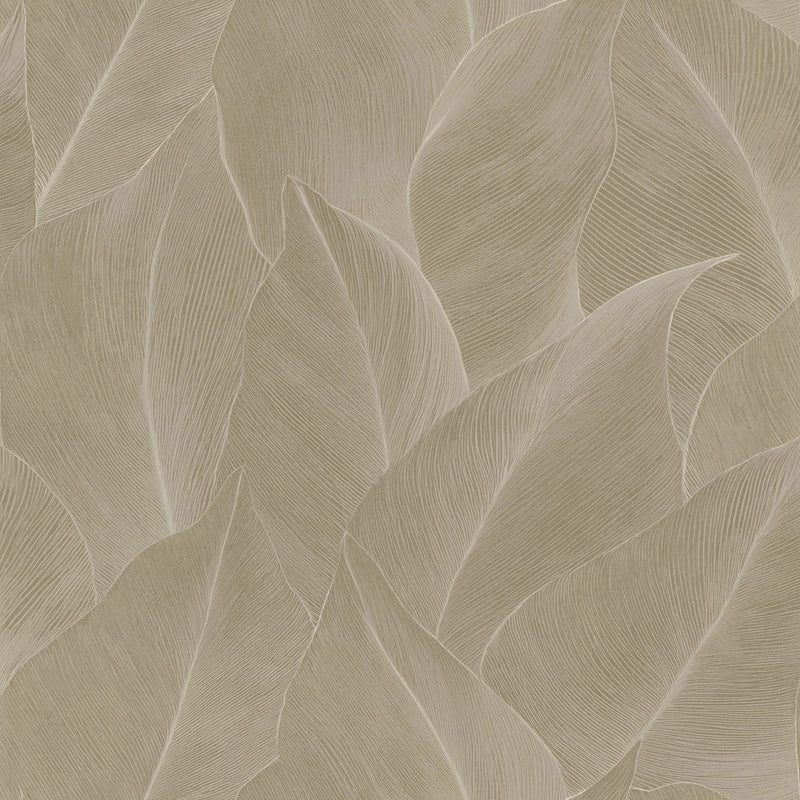 66321 Anthurium Beige Wallpaper by Holden Decor