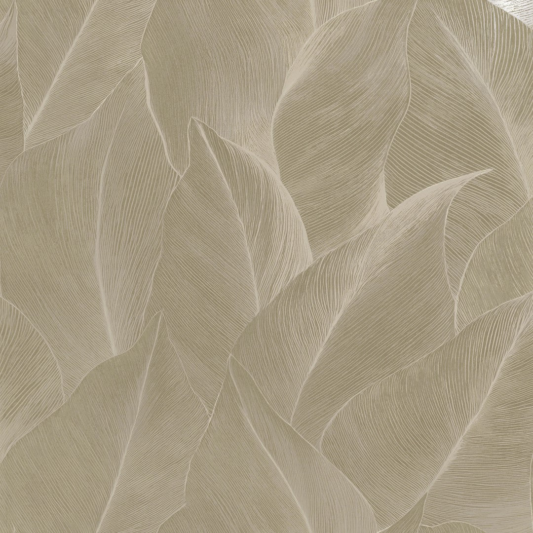66321 Anthurium Beige Wallpaper by Holden Decor