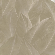 66321 Anthurium Beige Wallpaper by Holden Decor