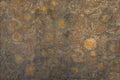 Vincent Wood Random Papers II Mural by Coordonné