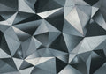 Miracle Silver Random Papers II Mural by Coordonné
