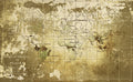 Old Map Gold Mural by Coordonné