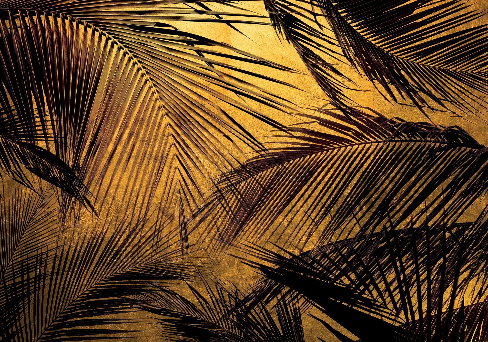 6800401 Palms Gold Random Papers II Mural by Coordonné