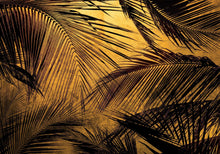 6800401 Palms Gold Random Papers II Mural by Coordonné