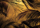 Palms Gold Random Papers II Mural by Coordonné