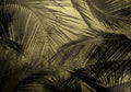 Palms Fresh Mural by Coordonné