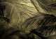 Palms Fresh Random Papers II Mural by Coordonné