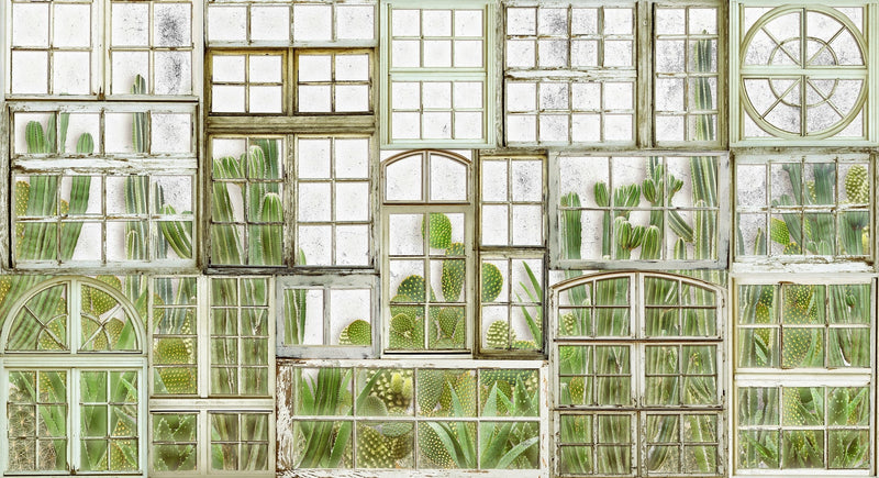 6800404 Window Flora Fresh Random Papers II Mural by Coordonné