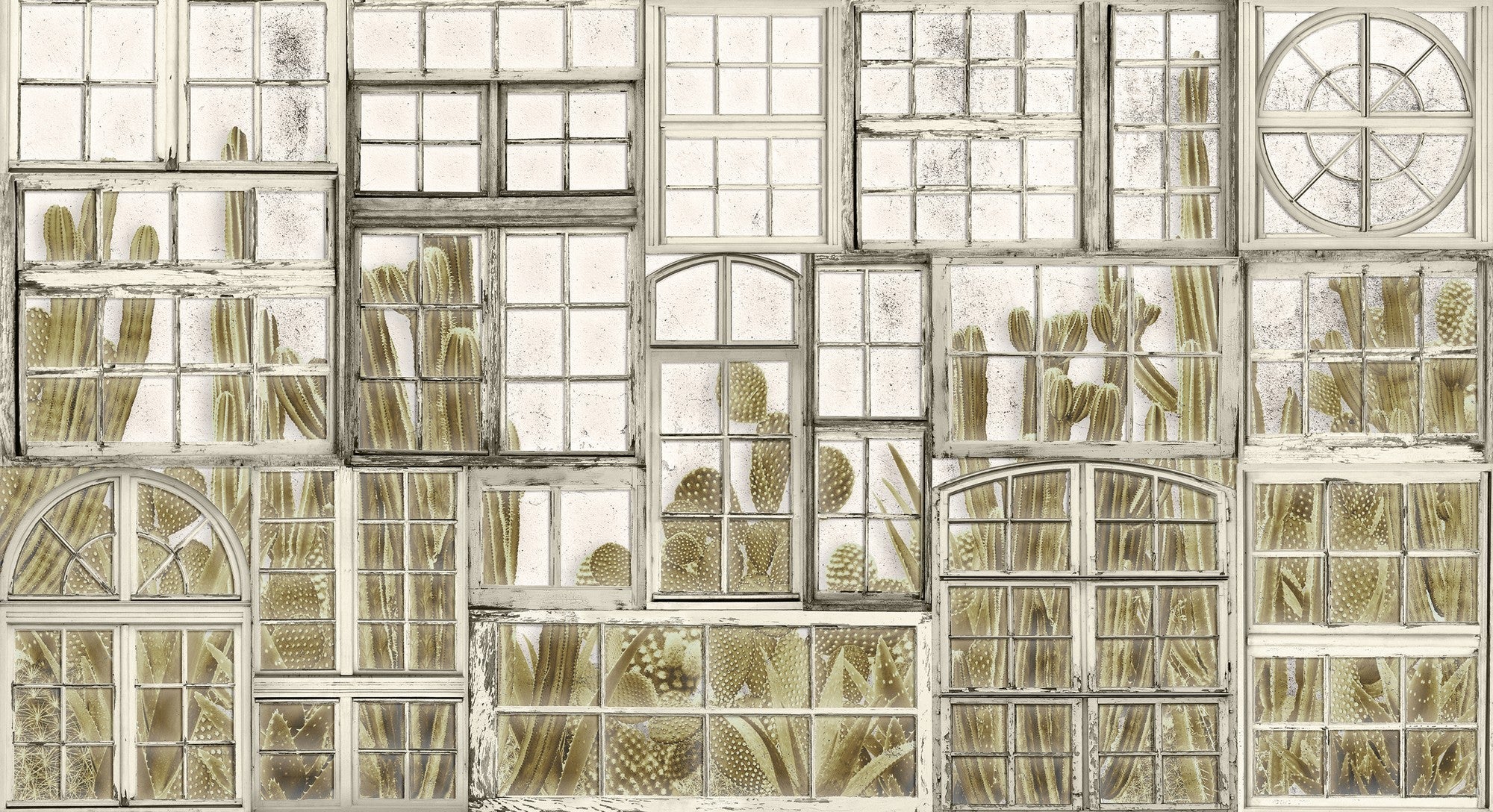 6800405 Window Flora Campo Random Papers II Mural by Coordonné