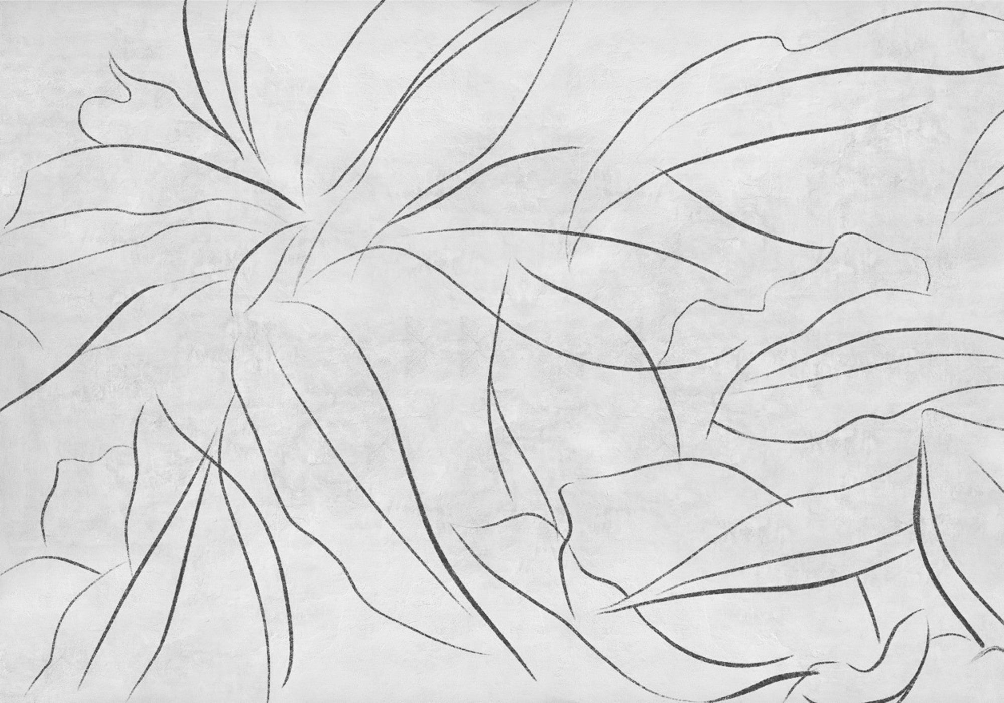6800406 Abstract Flora Concrete Random Papers II Mural by Coordonné