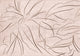 Abstract Flora Rose Random Papers II Mural by Coordonné