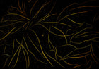 6800409 Abstract Flora Black Random Papers II Mural by Coordonné