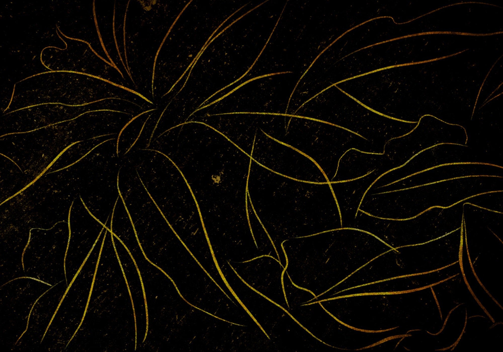 6800409 Abstract Flora Black Random Papers II Mural by Coordonné
