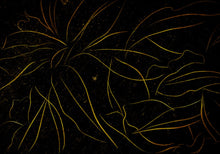 6800409 Abstract Flora Black Random Papers II Mural by Coordonné