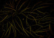 Abstract Flora Black Random Papers II Mural by Coordonné