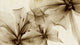 Gigant Flora Sepia Random Papers II Mural by Coordonné