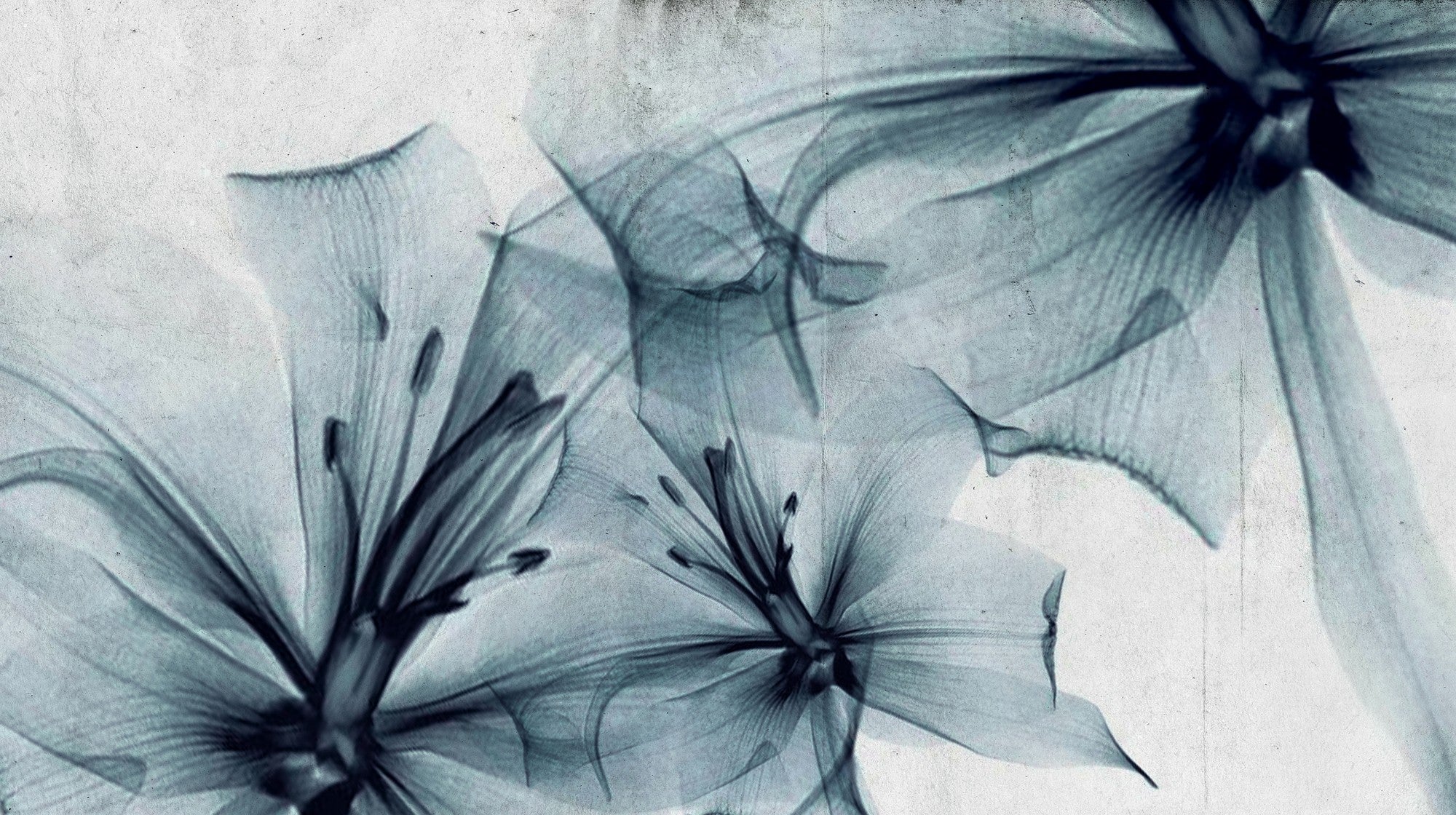 6800411 Gigant Flora Light Blue Random Papers II Mural by Coordonné