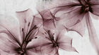 6800412 Gigant Flora Rose Random Papers II Mural by Coordonné