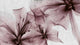 Gigant Flora Rose Random Papers II Mural by Coordonné