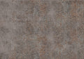 Brocade Silver Mural by Coordonné
