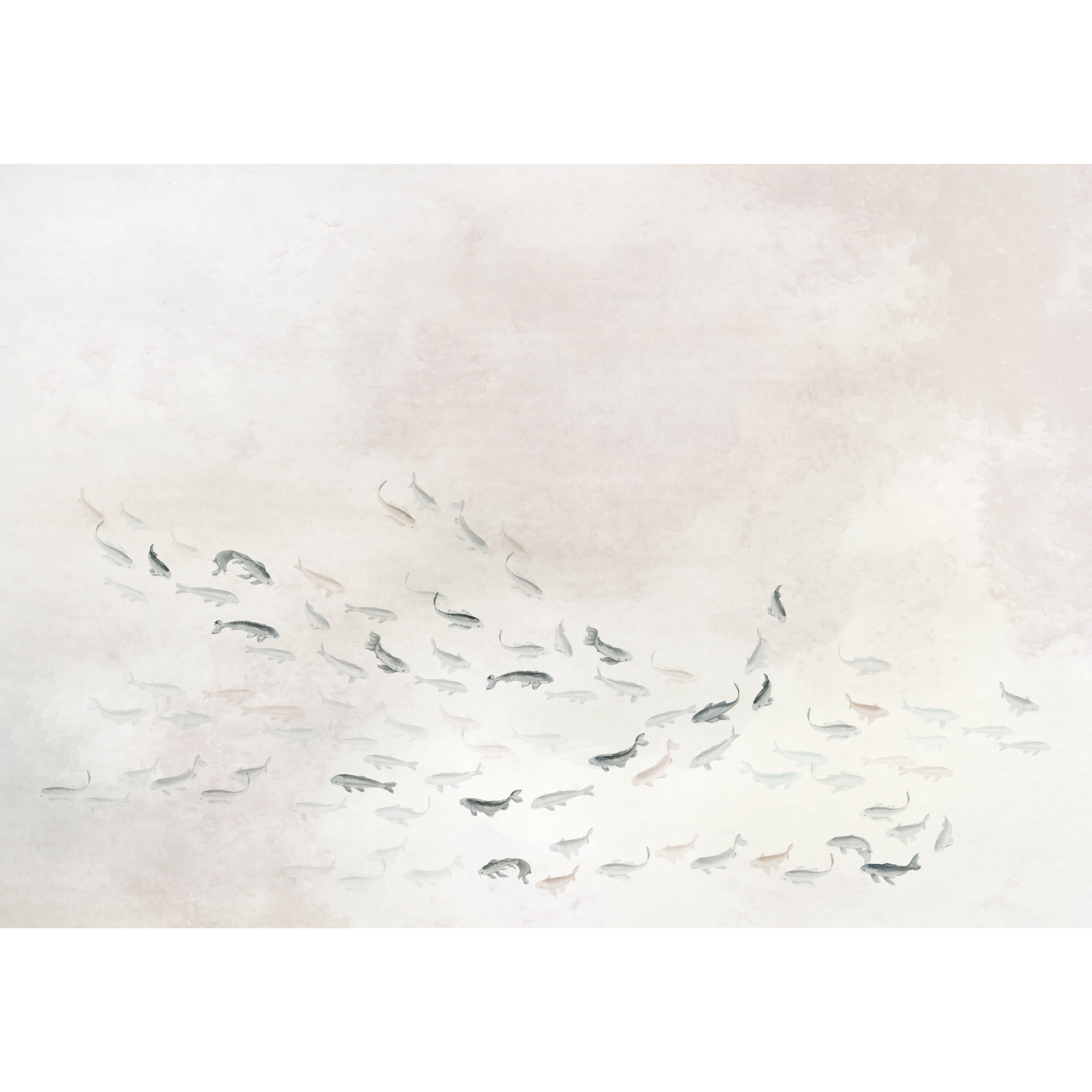 Koi Light Random Chinoiseries II Mural by Coordonné (400x280cm)