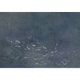 Koi Dark Random Chinoiseries II Mural by Coordonné (400x280cm)