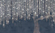 Cora Dark Blue Random Papers II Mural by Coordonné
