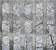 6800730 Acueducto Winter Random Papers II Mural by Coordonné