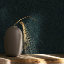 6817-30 Plain Modern Home Black Wallpaper By Galerie