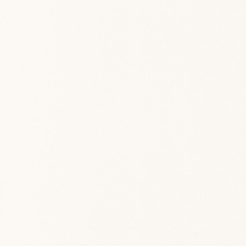68520000 Beauty Full Image Uni Blanc Wallpaper by Caselio