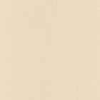 DAE68521289 Linen Uni Danae Wallpaper by Caselio