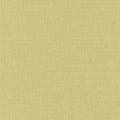 Linen Uni Plain Vert Anis Moyen Wallpaper by Caselio